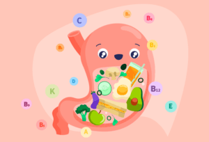 Body organs nourished with nutrients from superfoods.