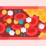 Visual of an artery partially blocked by cholesterol plaque with nutrients flowing through blood.