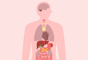 Diagram of upper body anatomy highlighting areas of mild organ infection.